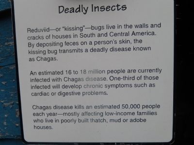 Deadly Insects Marker image. Click for full size.