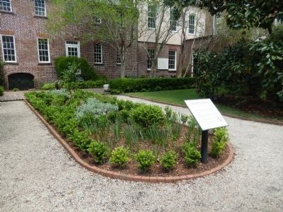 Nathaniel Russell Garden image. Click for full size.