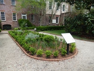 Nathaniel Russell Garden. Click for full size. Nathaniel Russell Garden image. Click for full size.