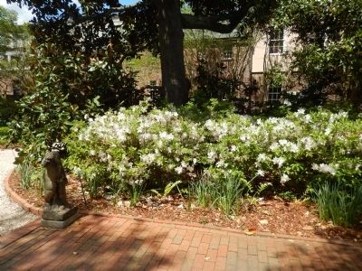 Nathaniel Russell Garden. Click for full size. Nathaniel Russell Garden image. Click for full size.