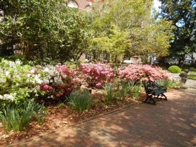 Nathaniel Russell Garden. Click for full size. Nathaniel Russell Garden image. Click for full size.