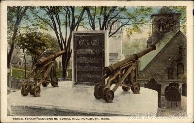 Tercentenary Cannons - Vintage Postcard image. Click for full size.