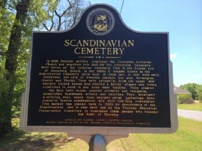 Scandinavian Cemetery Marker image. Click for full size.