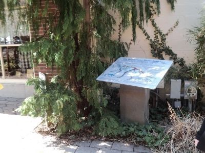 Marker in Haddonfield. Click for full size. Marker in Haddonfield image. Click for full size.