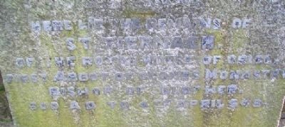Remains of St Tiernach Marker Detail image. Click for full size.