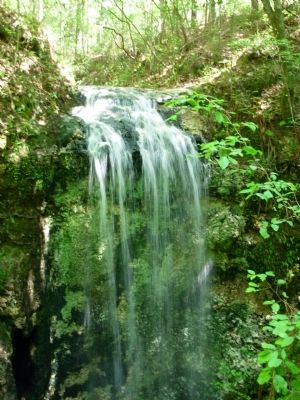 Falling Waters. Click for full size. Falling Waters image. Click for full size.