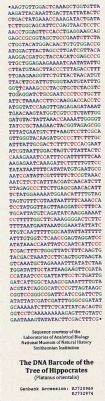 DNA Barcode image. Click for full size.