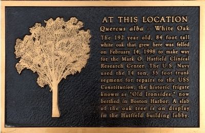 At This Location Marker. Click for full size. At This Location Marker image. Click for full size.