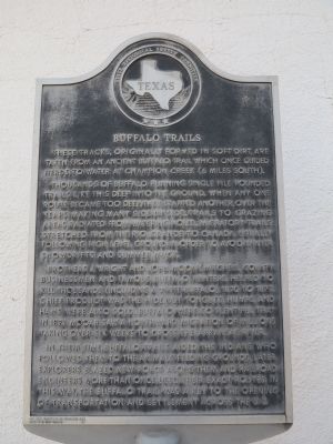 Buffalo Trails Marker. Click for full size. Buffalo Trails Marker image. Click for full size.