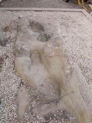 Buffalo Tracks. Click for full size. Buffalo Tracks image. Click for full size.