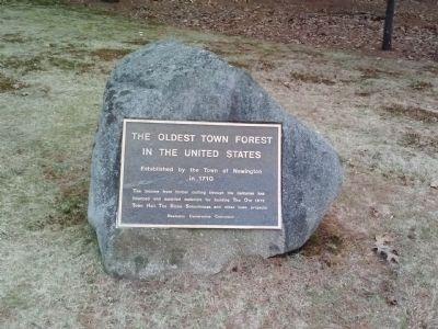 The Oldest Town Forest in the United States Marker. Click for full size. The Oldest Town Forest in the United States Marker image. Click for full size.