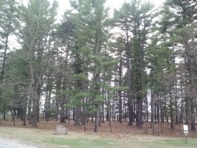 The Oldest Town Forest in the United States Marker. Click for full size. The Oldest Town Forest in the United States Marker image. Click for full size.