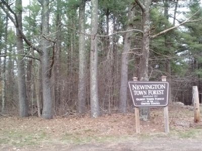 Newington Town Forest Sign. Click for full size. Newington Town Forest Sign image. Click for full size.