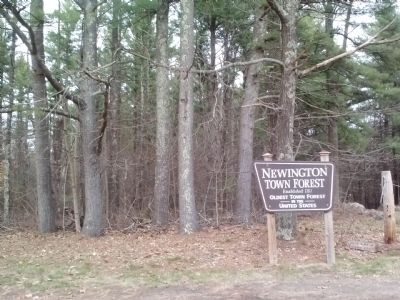 Newington Town Forest Sign image. Click for full size.