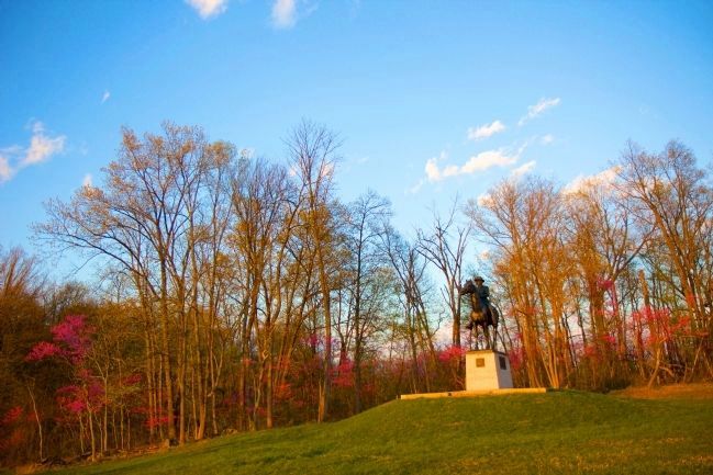 Major General John Sedgwick with May redbuds in bloom. Click for full size. Major General John Sedgwick with May redbuds in bloom image. Click for full size.