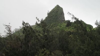 Nu’uanu Pali State Wayside Moutains image. Click for full size.