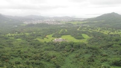 View from Lookout. Click for full size. View from Lookout image. Click for full size.