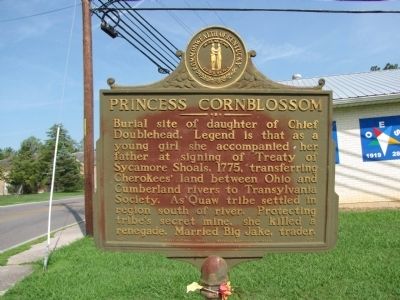 Princess Cornblossom Marker image. Click for full size.