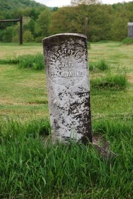The Old Taylor Cemetery. Click for full size. The Old Taylor Cemetery image. Click for full size.