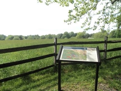 Birmingham Hill Marker. Click for full size. Birmingham Hill Marker image. Click for full size.