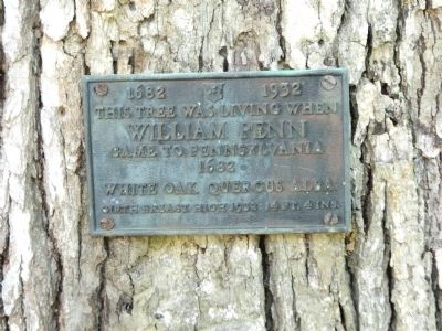 This Tree Was Living When William Penn Came to Pennsylvania Marker. Click for full size. This Tree Was Living When William Penn Came to Pennsylvania Marker image. Click for full size.