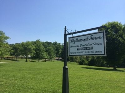 Blythewood Farms Entrance Sign image. Click for full size.