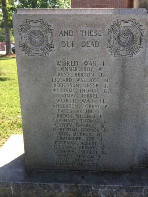 World War I - And These Our Dead image. Click for full size.