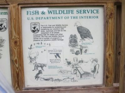 Information Display At The Great Swamp Visitor Center image. Click for full size.