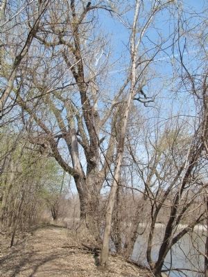 Trail along River. Click for full size. Trail along River image. Click for full size.