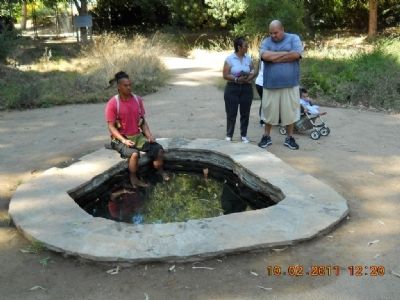 Tongva Sacred Springs Pool image. Click for full size.