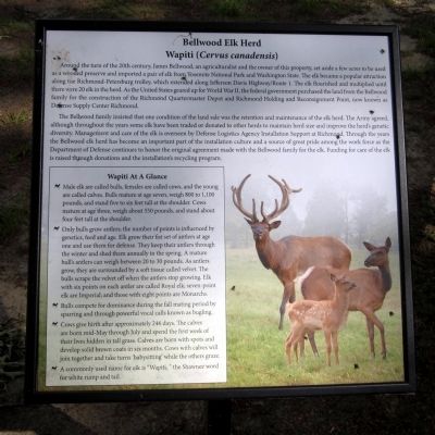 Bellwood Elk Herd Marker image. Click for full size.
