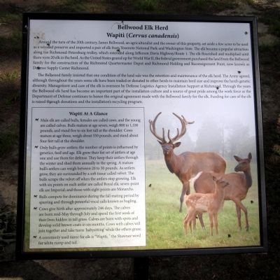 Bellwood Elk Herd Marker. Click for full size. Bellwood Elk Herd Marker image. Click for full size.