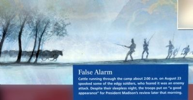 False Alarm image. Click for full size.