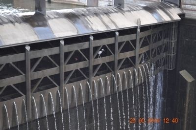 Wilson Dam image. Click for full size.
