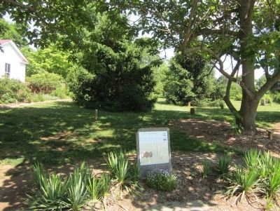 Old City Cemetery Marker area. Click for full size. Old City Cemetery Marker area image. Click for full size.