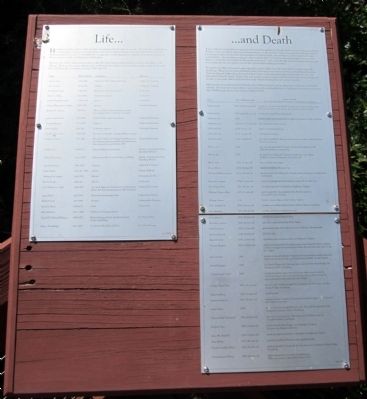 Life and Death Marker. Click for full size. Life and Death Marker image. Click for full size.