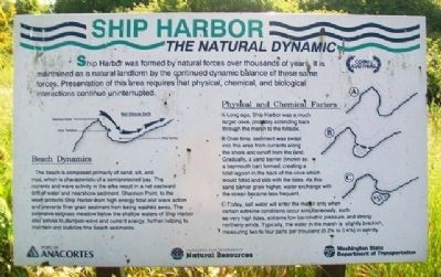 Ship Harbor: The Natural Dynamic Marker image. Click for full size.