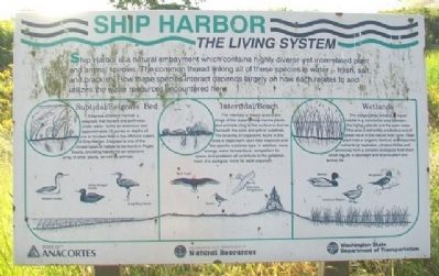 Ship Harbor: The Living System Marker image. Click for full size.