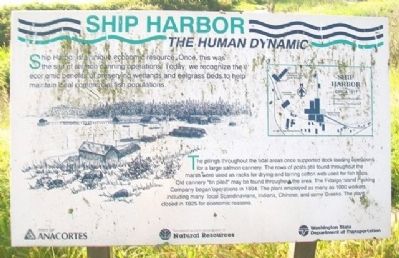 Ship Harbor: The Human Dynamic Marker image. Click for full size.