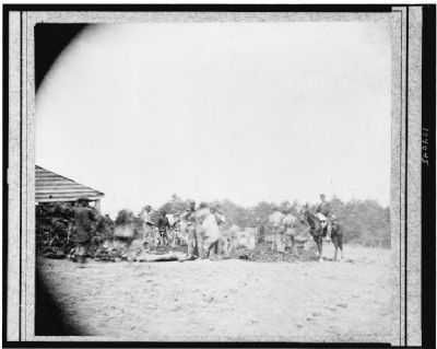 Scene of Ewell's attack, May 19, 1864, near Spottsylvania [i.e. Spotsylvania] Court House. image. Click for full size.
