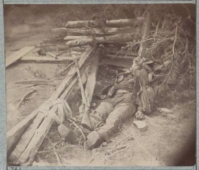 Dead Confederate soldier as he lay on the field, after the battle of the 19th May. Click for full size. Dead Confederate soldier as he lay on the field, after the battle of the 19th May image. Click for full size.