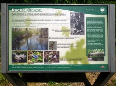 Rachel Carson Marker. Click for full size. Rachel Carson Marker image. Click for full size.