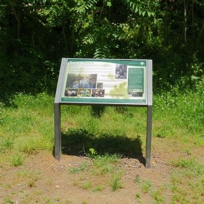 Rachel Carson Marker. Click for full size. Rachel Carson Marker image. Click for full size.