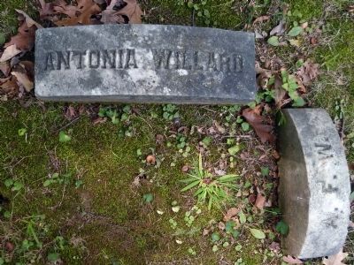 Grave of Antonia Ford Willard<br>Oak Hill Cemetery image. Click for full size.