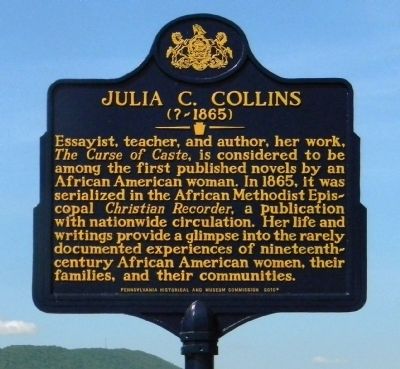 Julia C. Collins Marker image. Click for full size.