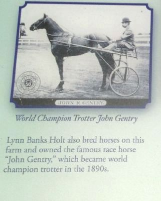 World Champion Trotter John Gentry image. Click for full size.
