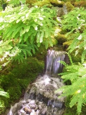 Japanese Garden Waterfall image. Click for full size.