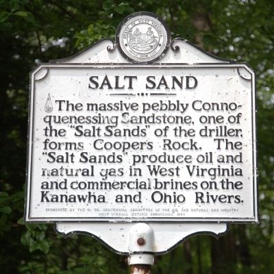 Salt Sand Marker image. Click for full size.