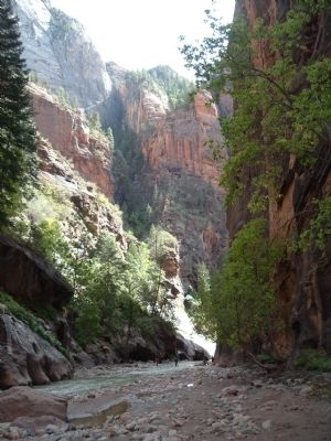 Zion Narrows image. Click for full size.