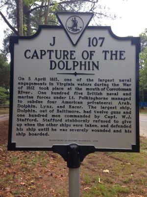 Capture of the Dolphin Marker image. Click for full size.